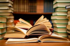 curriculum vitae - NUOVA GERUSALEMME