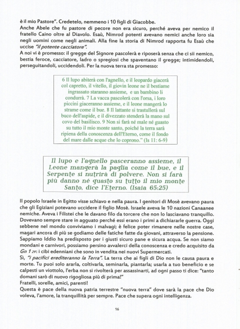 16 - NUOVA GERUSALEMME