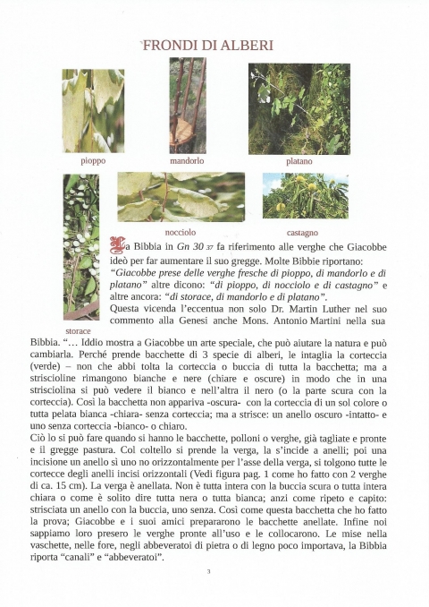 3 - NUOVA GERUSALEMME
