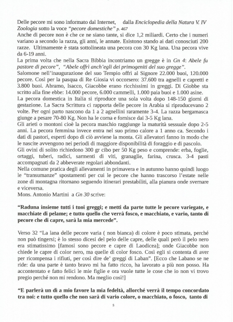 5 - NUOVA GERUSALEMME