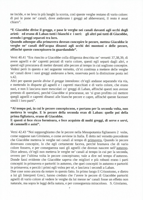 7 - NUOVA GERUSALEMME