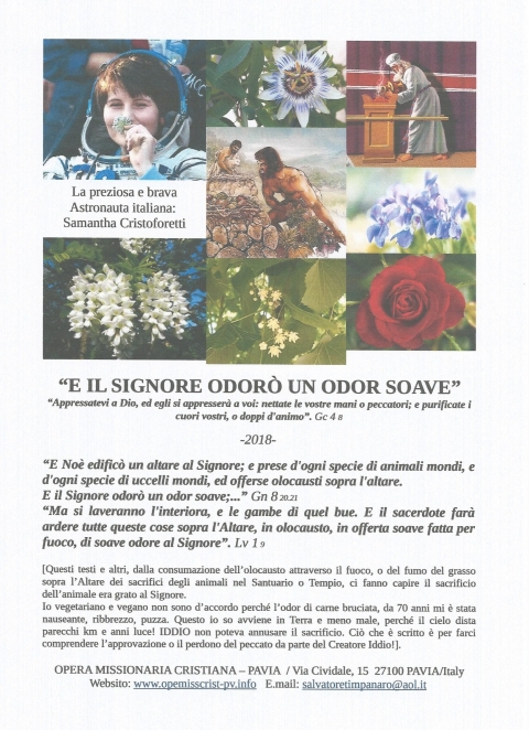 1 - NUOVA GERUSALEMME