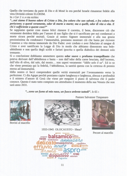11 - NUOVA GERUSALEMME