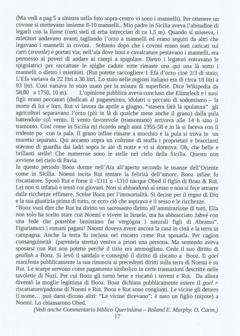 17 - NUOVA GERUSALEMME