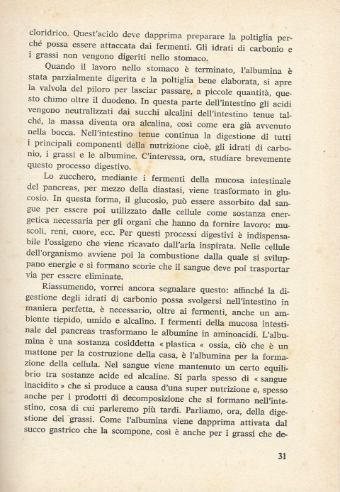31 - NUOVA GERUSALEMME