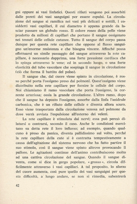 42 - NUOVA GERUSALEMME