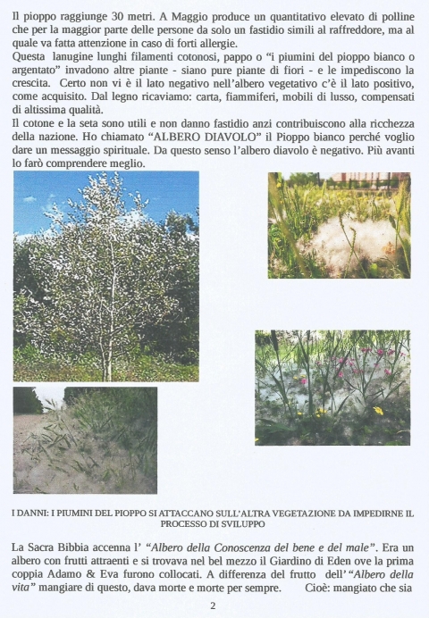 2 - NUOVA GERUSALEMME