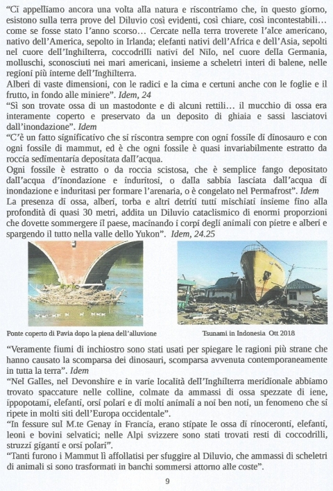 9 - NUOVA GERUSALEMME