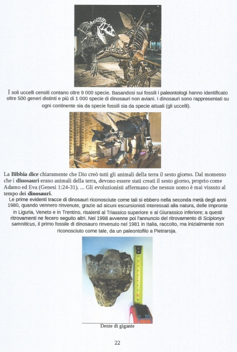 22 - NUOVA GERUSALEMME