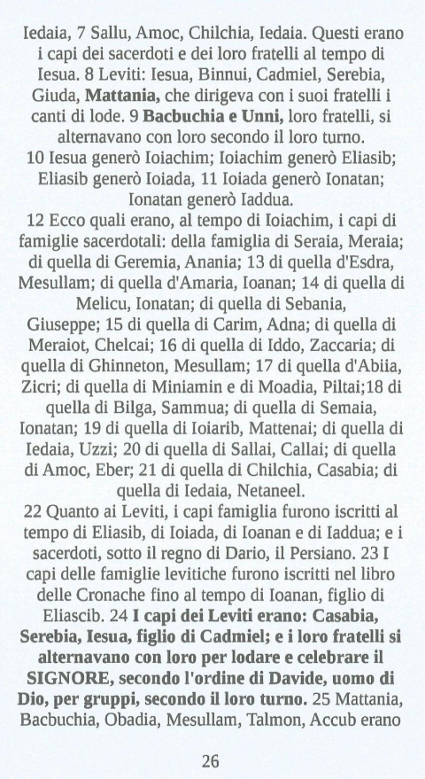 26 - NUOVA GERUSALEMME