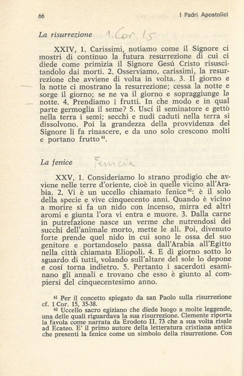 18 - NUOVA GERUSALEMME