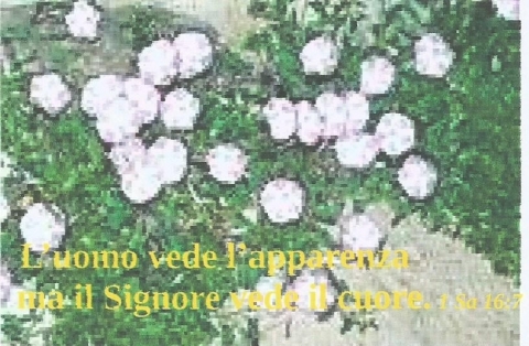 1 - NUOVA GERUSALEMME
