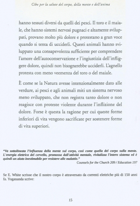 15 - NUOVA GERUSALEMME