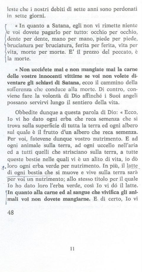 11 - NUOVA GERUSALEMME