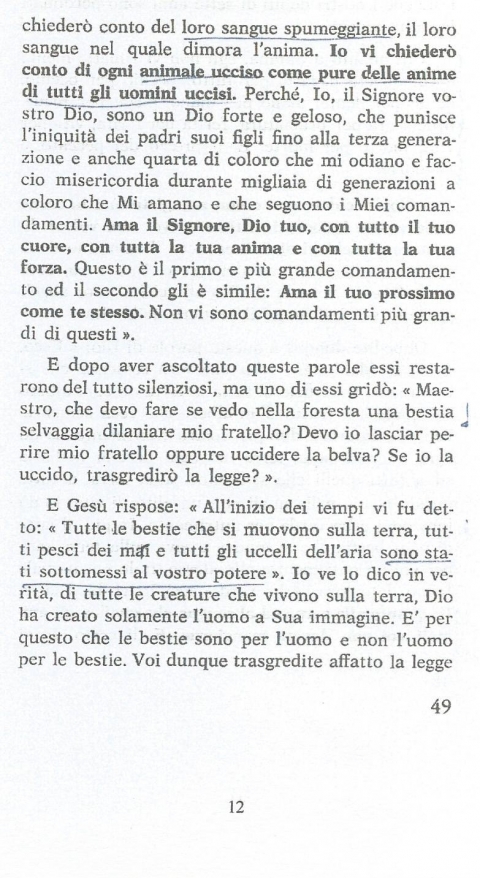 12 - NUOVA GERUSALEMME