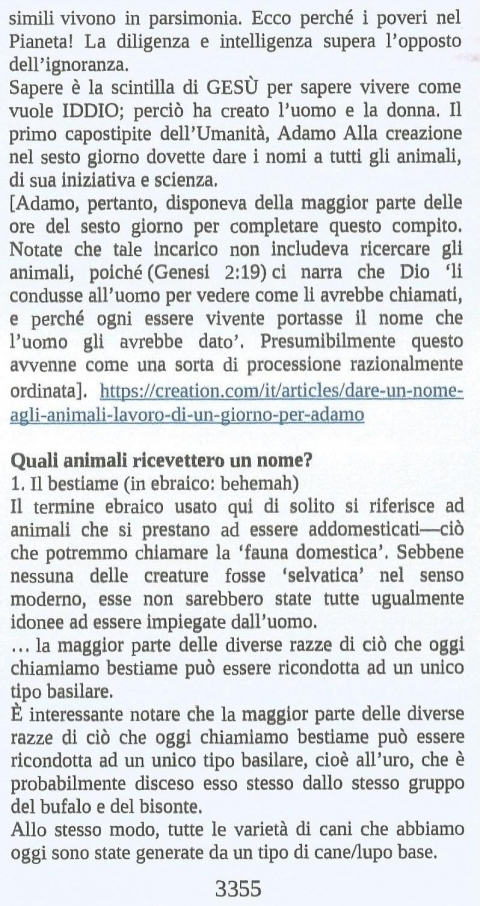 8 - NUOVA GERUSALEMME