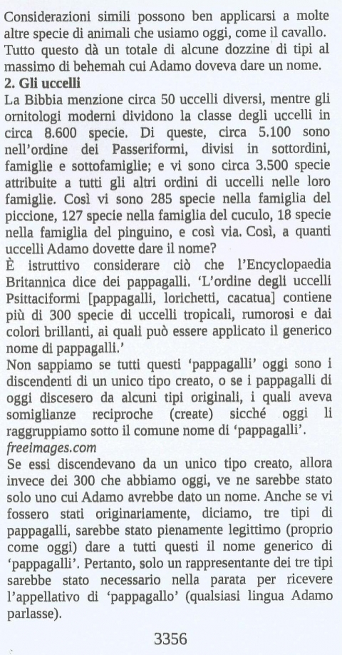 9 - NUOVA GERUSALEMME