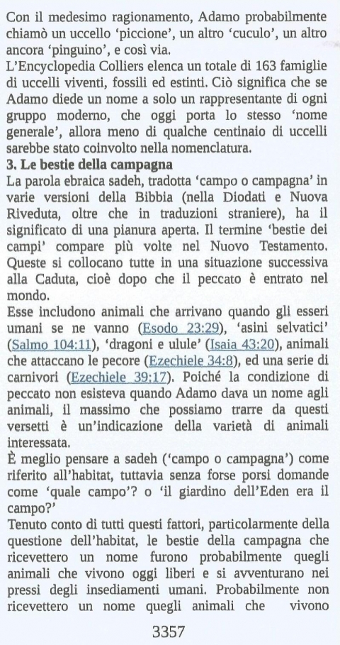 10 - NUOVA GERUSALEMME