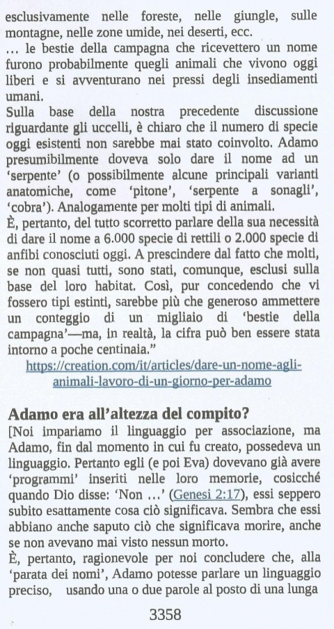 11 - NUOVA GERUSALEMME