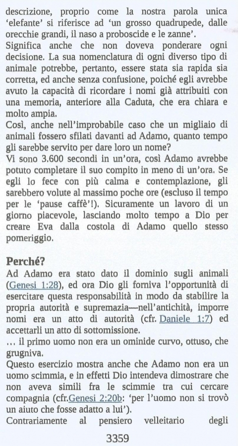 12 - NUOVA GERUSALEMME