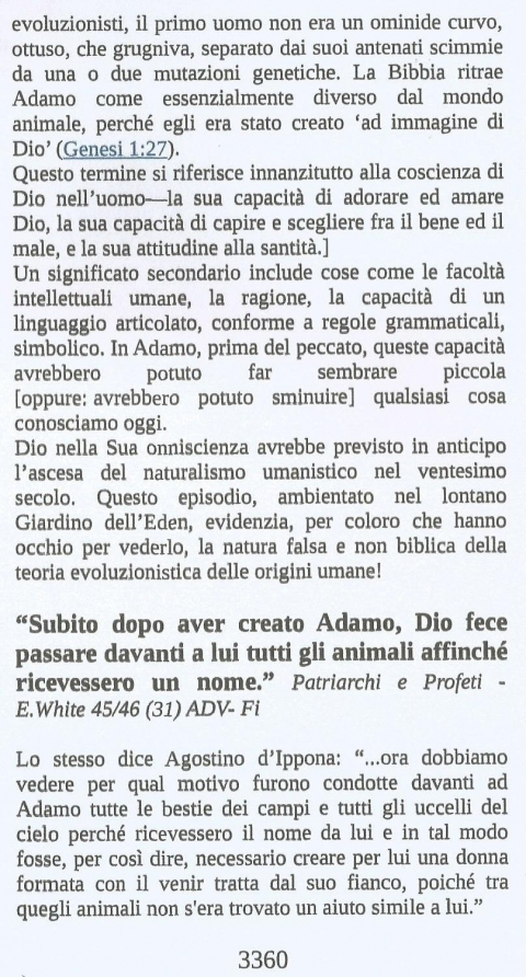 13 - NUOVA GERUSALEMME