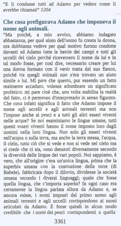 14 - NUOVA GERUSALEMME