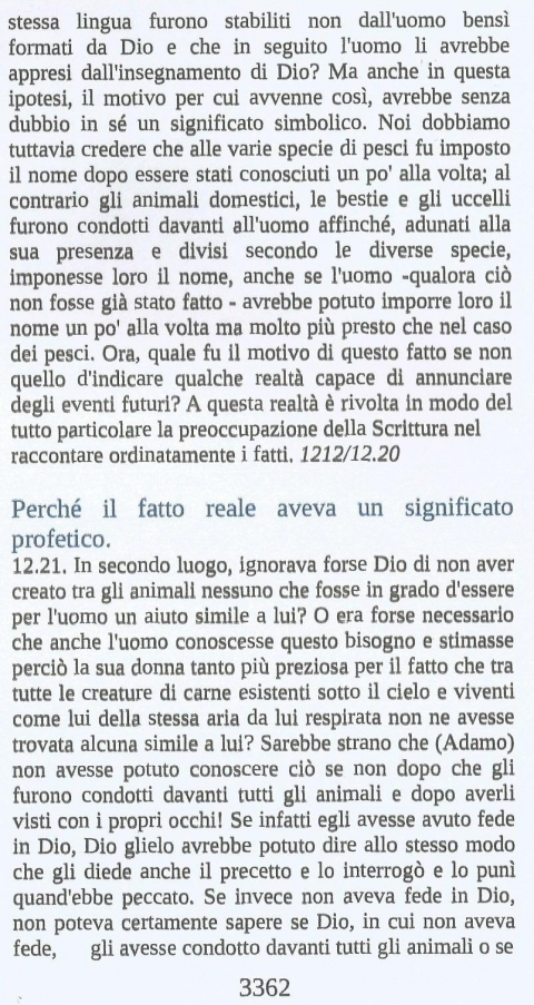 15 - NUOVA GERUSALEMME